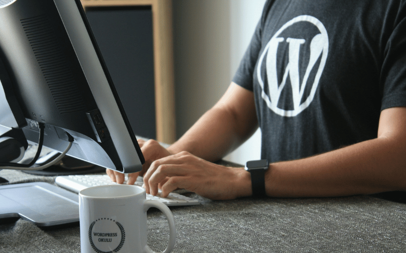 Why should you use WordPress to Build a Website in South Africa?